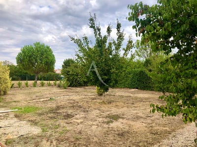 /international/fr/fontenay-le-comte-pays-de-la-loire-310108775979/