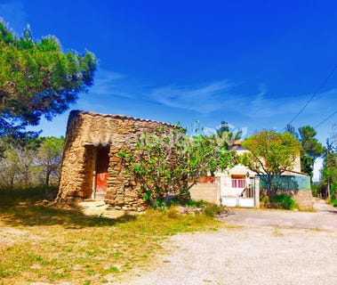 /international/fr/montseret-languedoc-roussillon-310108455130/