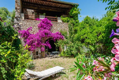 /international/fr/fitou-languedoc-roussillon-310108597682/