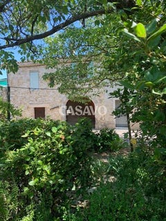 /international/fr/baron-languedoc-roussillon-310106381009/