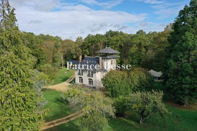 /international/fr/saint-sauveur-en-puisaye-burgundy-310107921599/