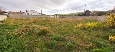 /international/fr/lezignan-la-cebe-languedoc-roussillon-310107640175/