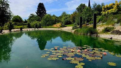 /international/fr/saulieu-burgundy-310107431255/