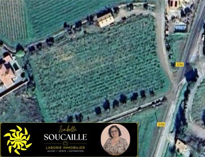 /international/fr/siran-languedoc-roussillon-310100648650/
