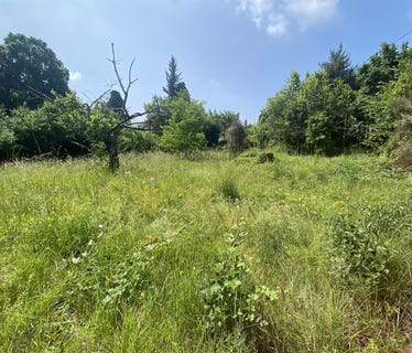 /international/fr/cabris-provence-alpes-cote-d-azur-310101208783/