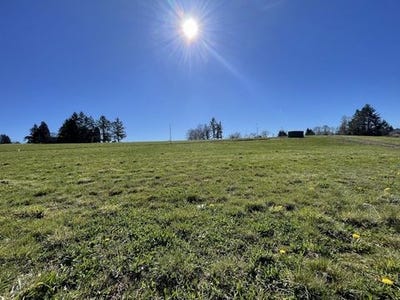 /international/fr/feytiat-limousin-310099841822/