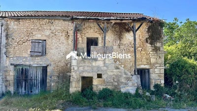 /international/fr/saint-vaize-charente-310105968855/