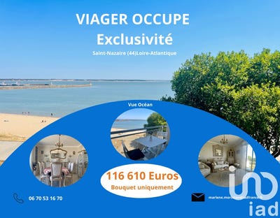 /international/fr/saint-nazaire-pays-de-la-loire-310101280323/