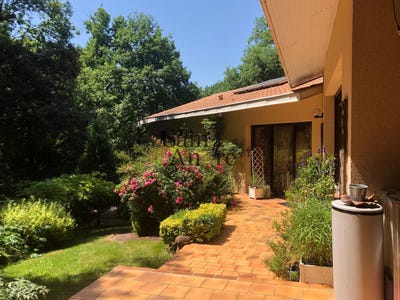 /international/fr/saint-yrieix-sur-charente-charente-120093959898/
