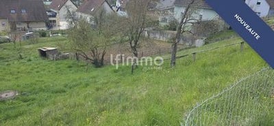 /international/fr/wittersdorf-alsace-310108006640/