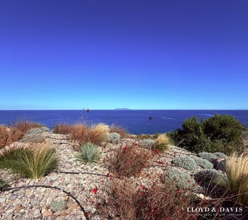 /international/fr/sisco-corsica-310104887162/