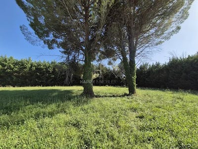 /international/fr/saint-remy-de-provence-provence-alpes-cote-d-azur-310107968819/
