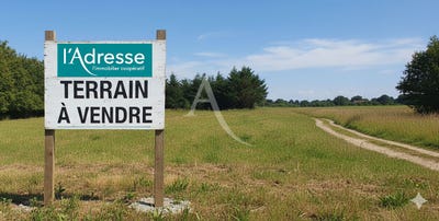 /international/fr/coex-pays-de-la-loire-310104463437/