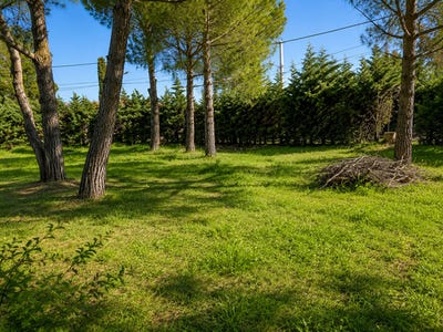 /international/fr/montesquieu-des-alberes-languedoc-roussillon-310109122686/