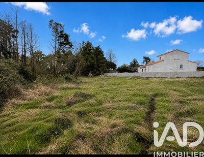 /international/fr/l-ile-d-olonne-pays-de-la-loire-310108834419/