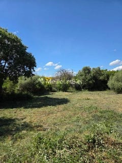 /international/fr/laurens-midi-pyrenees-310108594577/