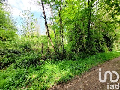 /international/fr/villeneuve-sur-bellot-ile-de-france-310099111324/