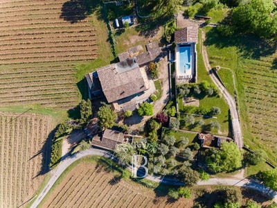 /international/fr/piegon-rhone-310100609659/
