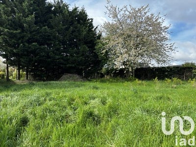 /international/fr/tierce-pays-de-la-loire-310100432277/