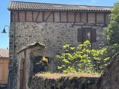 /international/fr/saint-felix-midi-pyrenees-310110290479/