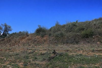 /international/fr/tautavel-languedoc-roussillon-310107298679/