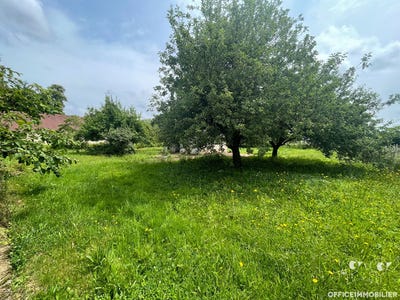 /international/fr/cussey-sur-l-ognon-franche-comte-310107887873/