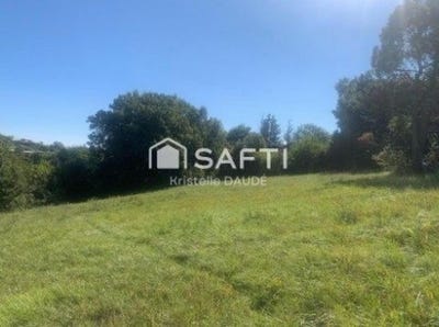 /international/fr/corbarieu-midi-pyrenees-310108674604/