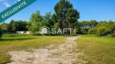 /international/fr/mimizan-aquitaine-310109020352/