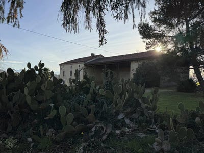 /international/fr/aurignac-midi-pyrenees-310104402256/