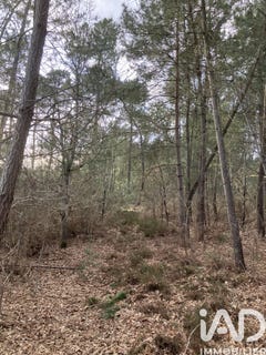 /international/fr/yvre-le-polin-pays-de-la-loire-310106822141/