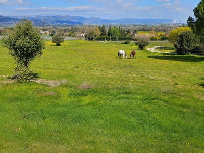 /international/fr/malataverne-languedoc-roussillon-310109016337/
