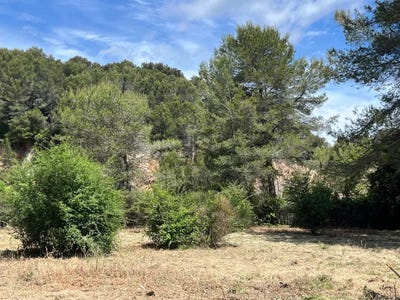 /international/fr/mougins-provence-alpes-cote-d-azur-310106776435/