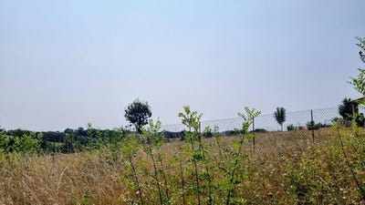 /international/fr/augnax-midi-pyrenees-310106335316/