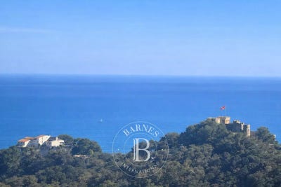 /international/fr/villefranche-sur-mer-provence-alpes-cote-d-azur-310106682097/