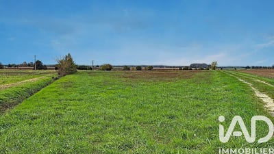 /international/fr/manthelan-centre-val-de-loire-310104490088/