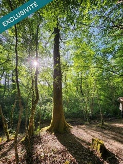 /international/fr/cazaubon-midi-pyrenees-310107472804/