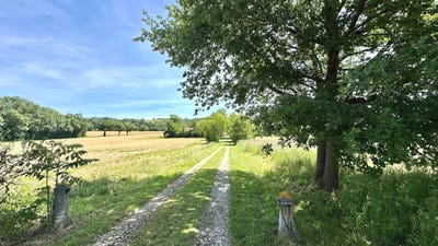 /international/fr/vic-fezensac-midi-pyrenees-310108594971/