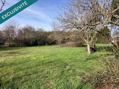 /international/fr/soreze-midi-pyrenees-310104799324/
