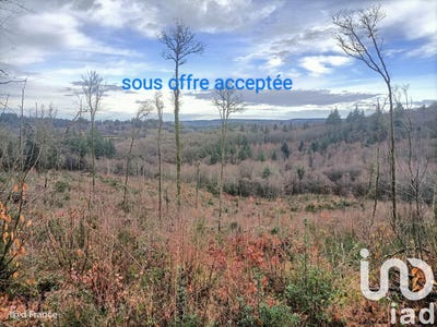 /international/fr/saint-sylvestre-rhone-310096779350/