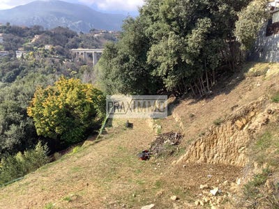 /international/fr/sainte-agnes-provence-alpes-cote-d-azur-310109130387/