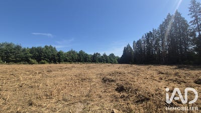 /international/fr/royeres-limousin-310105890280/