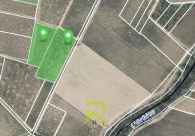/international/fr/raissac-d-aude-languedoc-roussillon-310106715722/