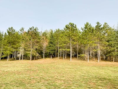 /international/fr/realmont-midi-pyrenees-310106797910/