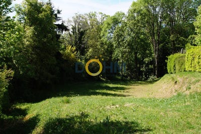 /international/fr/saint-jean-d-arvey-rhone-310107816095/