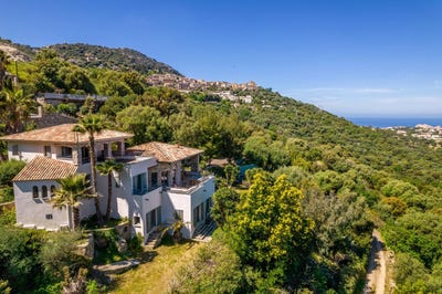 /international/fr/monticello-corsica-310107371920/