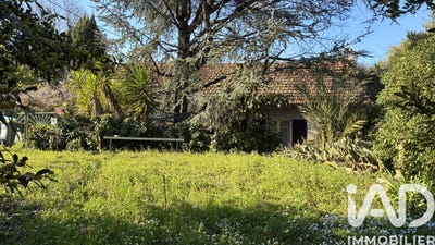 /international/fr/aigues-vives-languedoc-roussillon-310106793708/