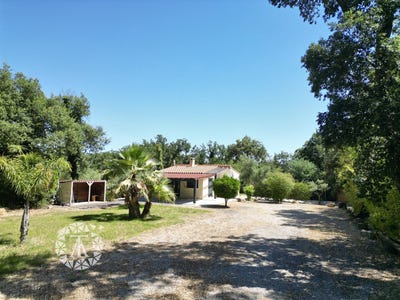 /international/fr/saint-andre-languedoc-roussillon-310108429999/