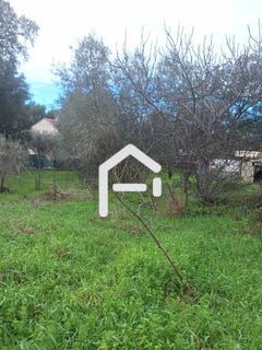 /international/fr/balaruc-les-bains-languedoc-roussillon-310105775325/