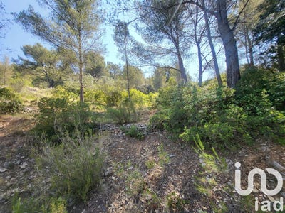 /international/fr/bandol-provence-alpes-cote-d-azur-310100599863/