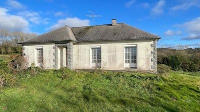 /international/fr/champeon-pays-de-la-loire-310119776791/